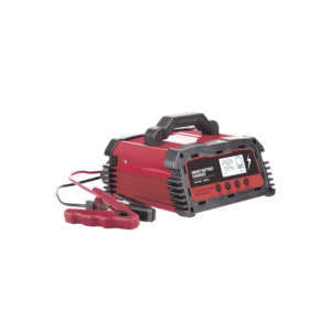 Cargador de Baterías / 12 o 24 Vcc / hasta 250 Ah / 25 A / Display LCD