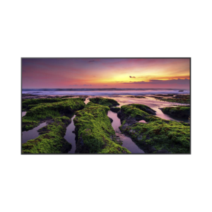 Pantalla Profesional LED de 65, UHD 4K (3840x2160p) / Entradas de Video HDM / Bocinas Integradas de 10 W. Compatible VESA